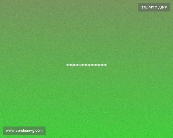 郑科电子竞技协会官网,郑州科技学院电子竞技协会蓬勃发展纪实